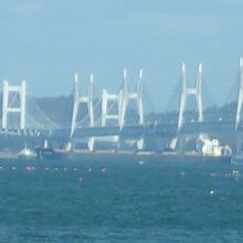 いくつもの吊り橋の橋脚と柱が連なる風景