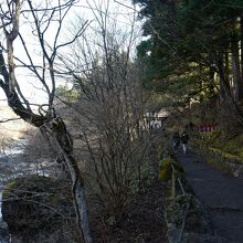 川の近くなので、空気も美味しいですよ。