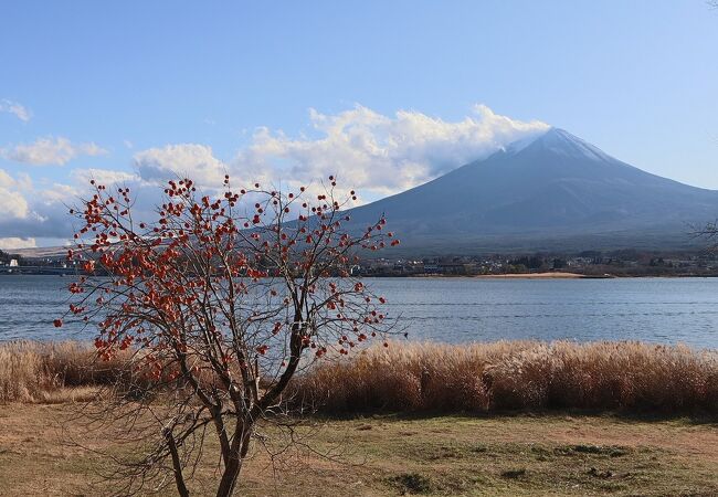 柿の木越しの富士山がきれい