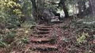 本殿の奥に「白山神社大岩」がある