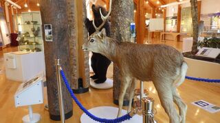 入館無料で見ごたえ十分