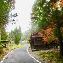 紅葉が綺麗でした