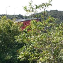 草木が伸びて、赤い橋がほとんど見えない。