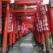 参道の鳥居