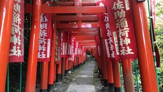 本殿へ続く石段に並び立つ鳥居は壮観