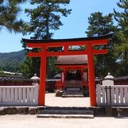 海岸の松原の中にある小さな神社