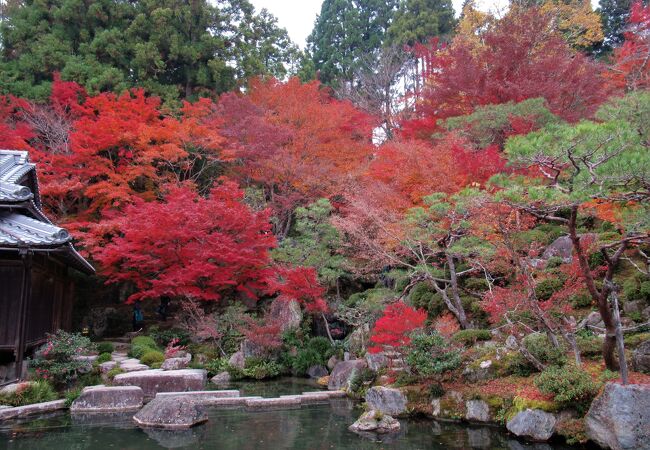 百済寺 クチコミ アクセス 営業時間 湖東三山 多賀 東近江 フォートラベル 百済寺 クチコミ アクセス 営業時間 湖東三山 多賀 東近江 フォートラベル