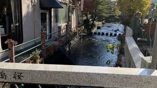 透き通る水を眺めて