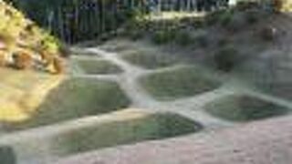 散歩にちょうどよい