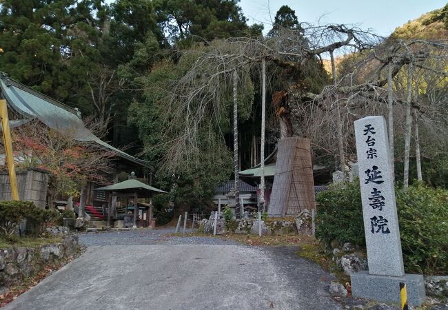赤目 名張のおすすめ観光スポット クチコミ人気ランキングtop フォートラベル 三重県 赤目 名張のおすすめ観光スポット クチコミ人気ランキングtop フォートラベル 三重県