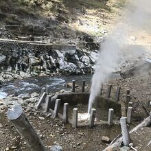 天然記念物・渋の地獄谷噴泉