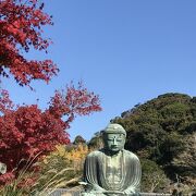 大仏が圧巻です