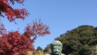 大仏が圧巻です