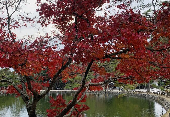東大寺 鏡池 クチコミ アクセス 営業時間 奈良市 フォートラベル