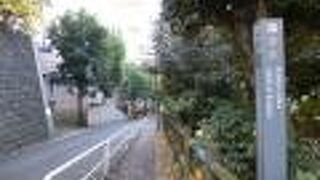 学生の姿が多い通りでした