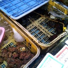 活伊勢海老&栄螺