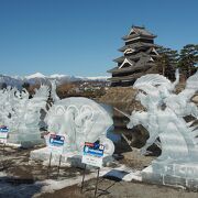 美しい松本城を背負って氷彫作品が並ぶ姿は圧巻