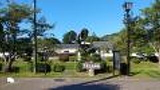 開花時期にあわせて訪れたい