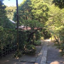 富陽庵の門から