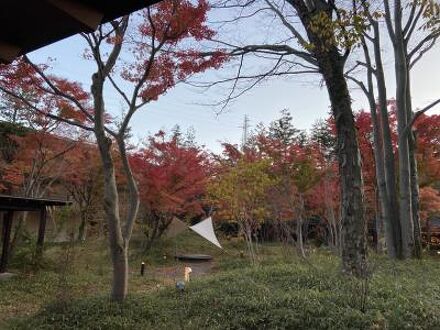 星野リゾート 界 鬼怒川の宿泊予約なら フォートラベル の格安料金比較 鬼怒川温泉