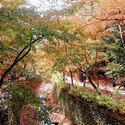 北野天満宮の脇を流れます