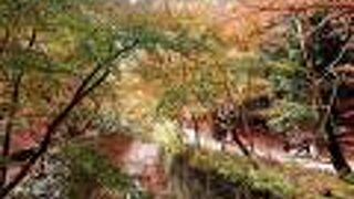 北野天満宮の脇を流れます