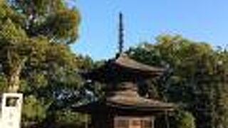 西日が当たるとさらに美しい