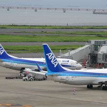 羽田空港でいつもの離陸見学！スタンバってる飛行機たち