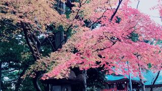 コロナ対策で柄杓は撤去中