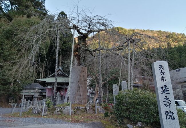赤目 名張のおすすめ観光スポット クチコミ人気ランキングtop フォートラベル 三重県 赤目 名張のおすすめ観光スポット クチコミ人気ランキングtop フォートラベル 三重県