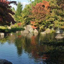 日本庭園らしい庭