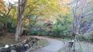 有馬温泉奥にある森の中の公園