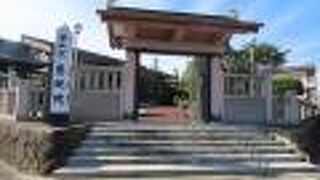 山門の色味が個性的！？