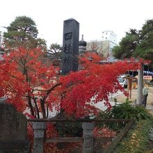 紅葉もきれい