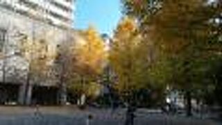 静かな公園です