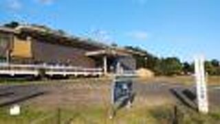 天橋立周辺の歴史を学ぶことができた