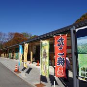 清流沿いの道の駅 （道の駅 白山文化の里長滝）