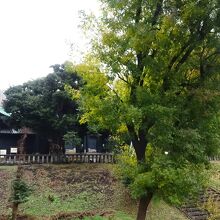 静かな佇まいの中に建てられています