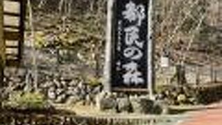 木工体験の出来る施設もあります