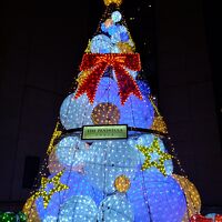 入口にツリーがあります