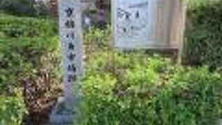 当時の商いの中心は川魚