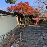 秋も見事な花の寺