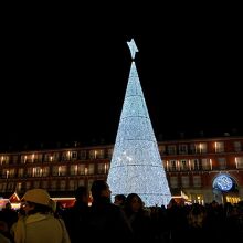 立派なクリスマスツリー