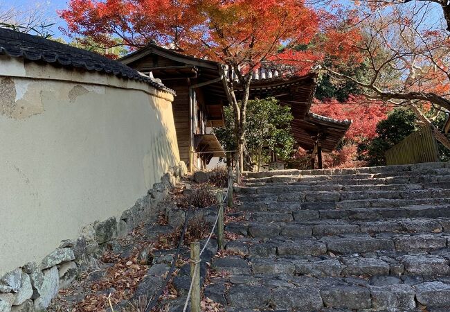 秋も見事な花の寺