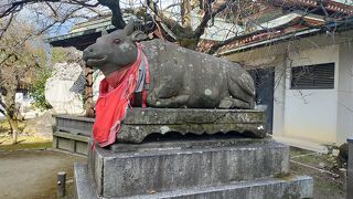牛を神様にする天満宮。来年の干支は牛です