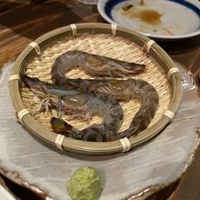 車海老踊り食い