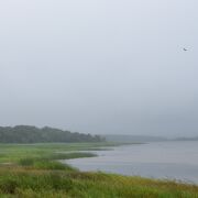 野鳥も生息する自然豊かな湖