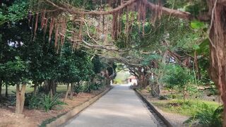 静寂な感じは好き