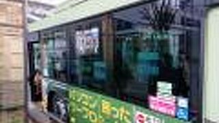 観光地を巡る100系統に乗りました