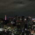 夜景がきれいなホテルです